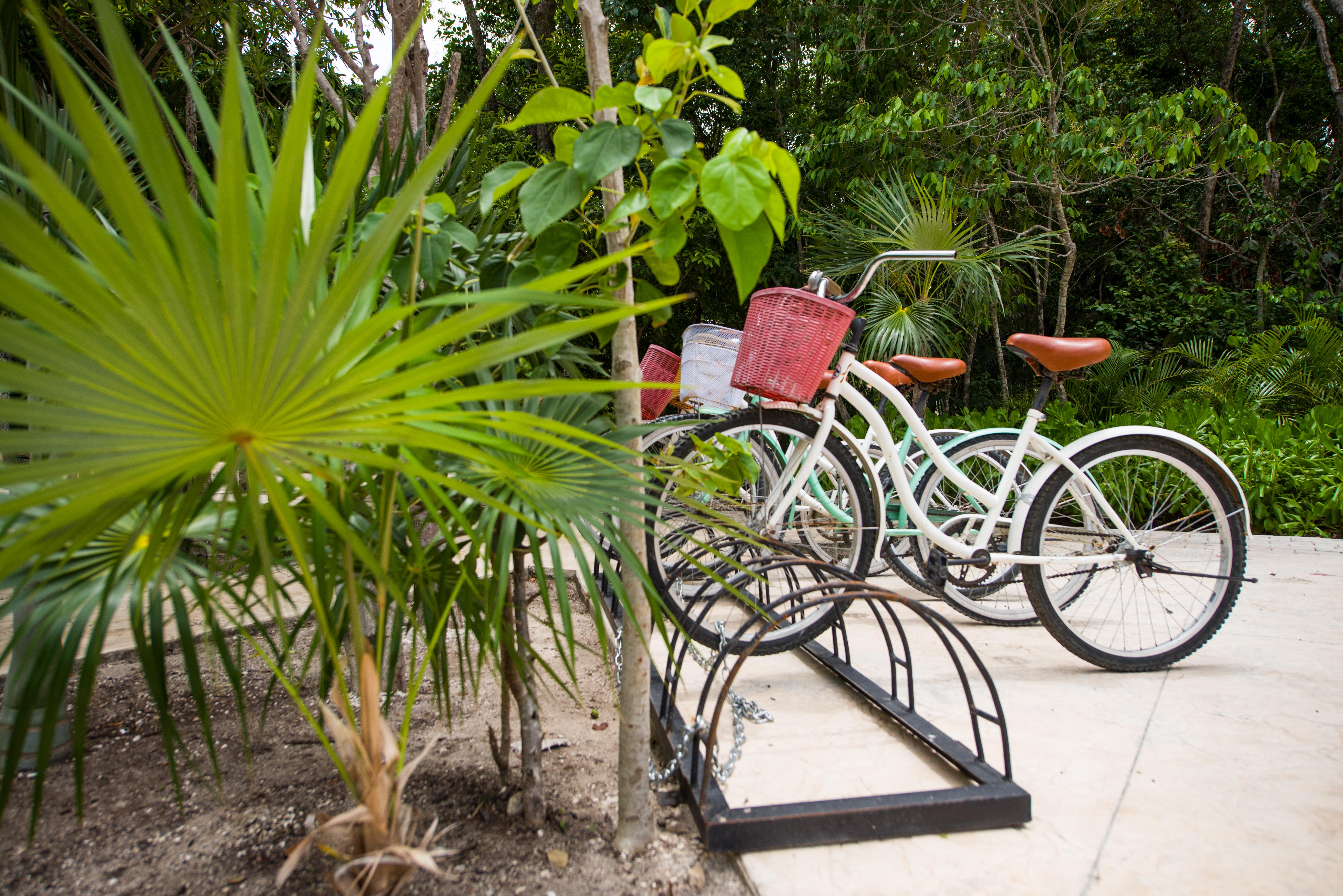 Naay Tulum Curamoria Collection Екстериор снимка